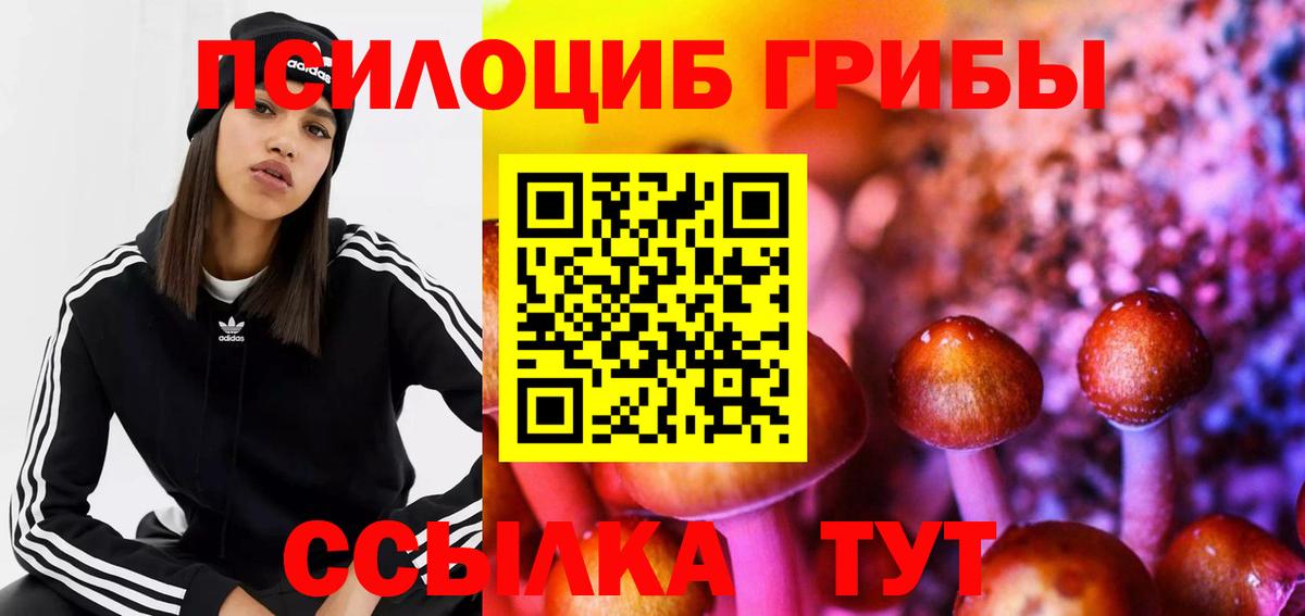 Псилоцибиновые грибы Psilocybine cubensis  Псилоцибиновые грибы мицелий  Вход с VPN  Балашов 