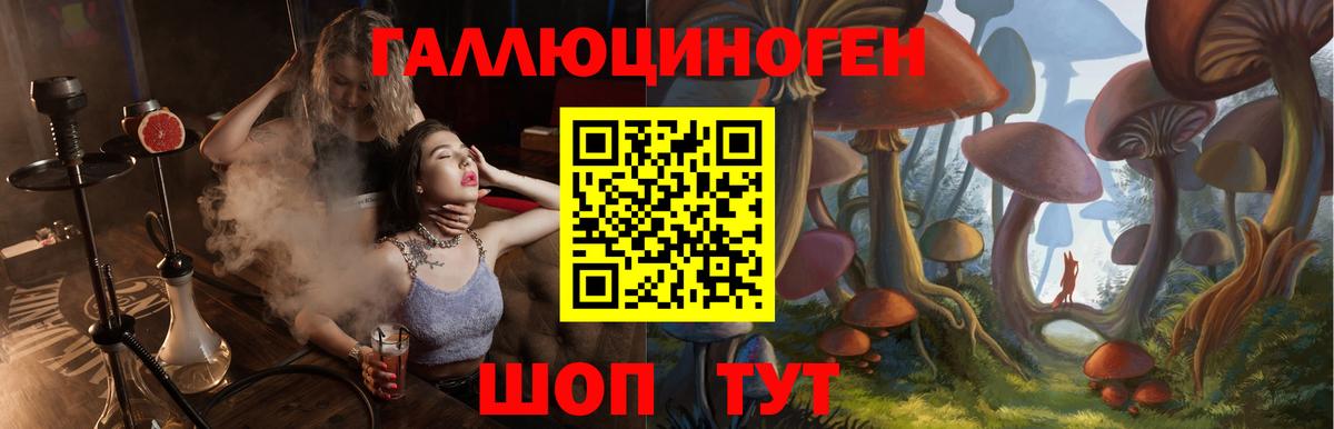 Галлюциногенные грибы мухоморы Балашов